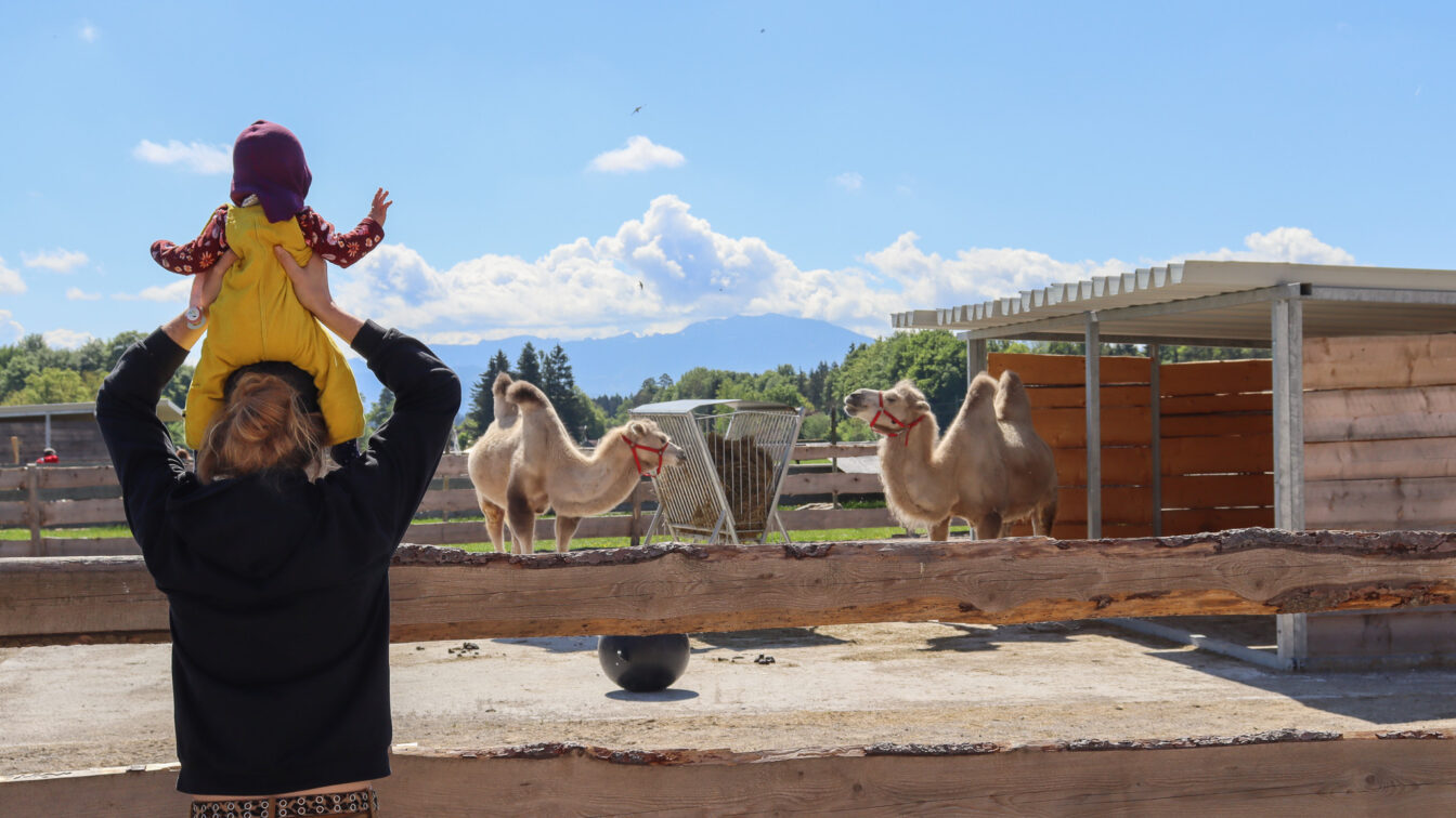 Ausfug mit Kindern ab München zum Gut Aiderbichl.