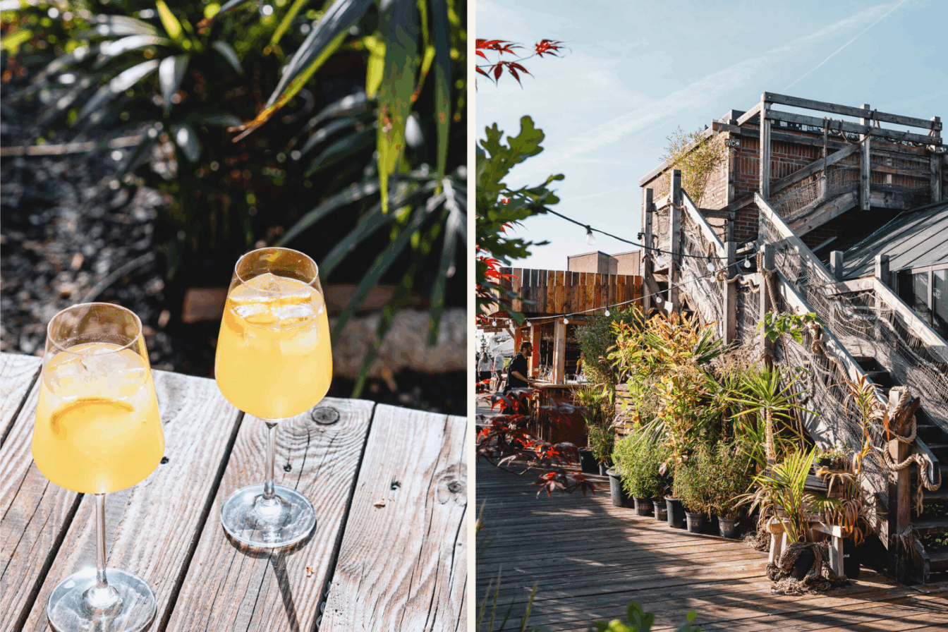 Gelbe Drinks und der Eingang vom Dachgarten auf dem Gasteig in München mit vielen Pflanzen.