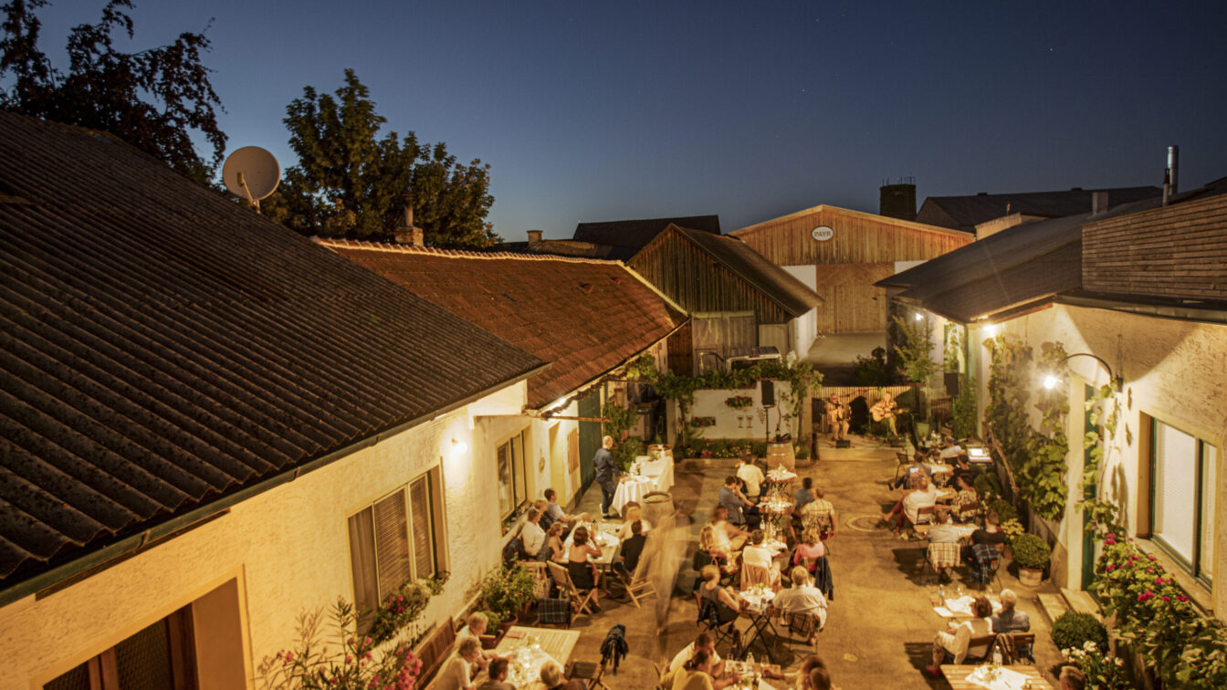 Jazz im Weingut, Pop beim Heurigen, Kabarett im Keller – Kultur bei Winzerinnen & Winzern bringt den perfekten Mix aus Beats & Barrique.