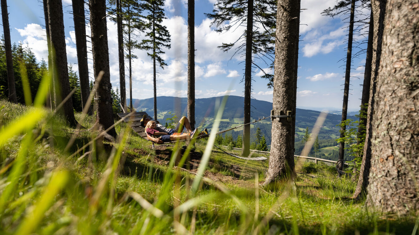 Schaukelweg Mönichkirchen im Sommer