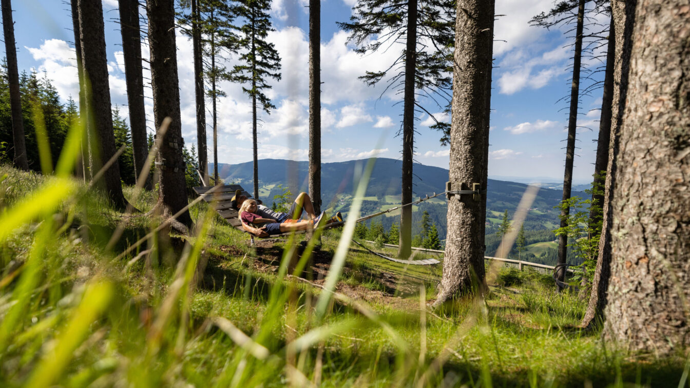 Schaukelweg Mönichkirchen im Sommer