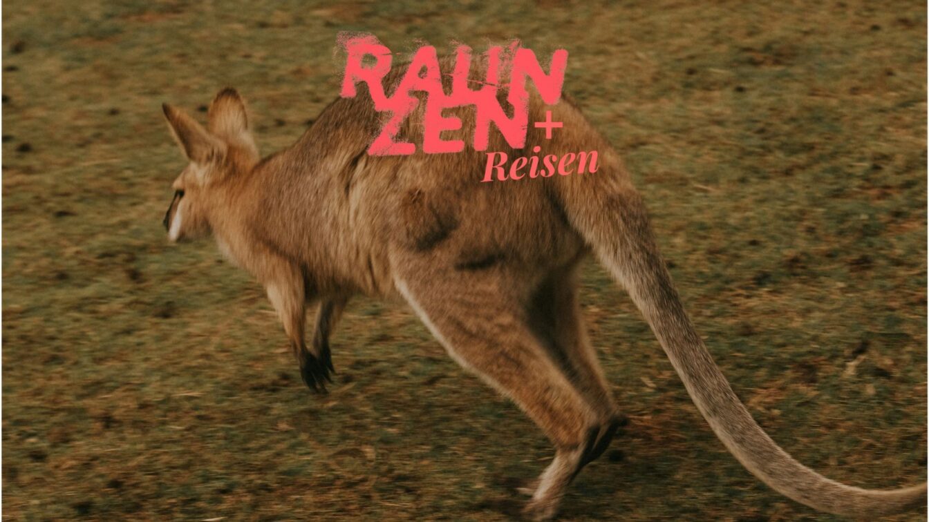 Ein Känguru springt über eine grasige Fläche. Im Bildvordergrund ist es in Bewegung eingefangen, sein langer Schwanz gestreckt. Darüber liegt in kräftiger rosa Typografie der Schriftzug: 'RAUZEN + Reisen'