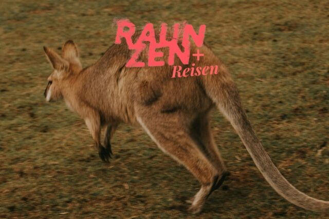 Ein Känguru springt über eine grasige Fläche. Im Bildvordergrund ist es in Bewegung eingefangen, sein langer Schwanz gestreckt. Darüber liegt in kräftiger rosa Typografie der Schriftzug: 'RAUZEN + Reisen'