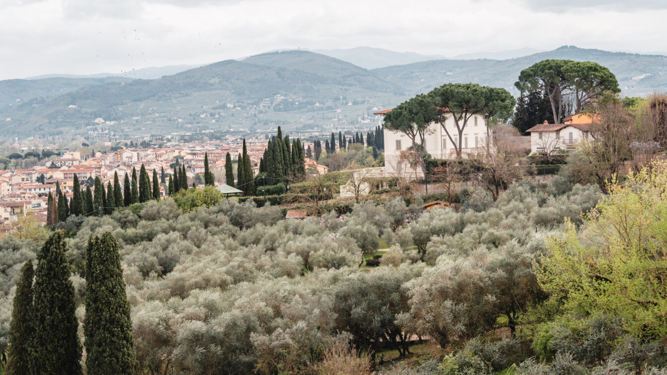 Blick auf einen Garten mit Zypressen und einer Villa am Horizont, Toskana-Vibes in Florenz.