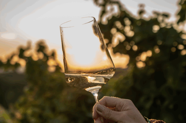 Weinglas mit Sonnenuntergang und Weinreben im Hintergrund