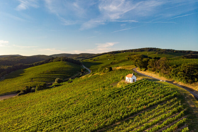M61 Weinsteinweg, Franziskuskapelle Neckenmarkt