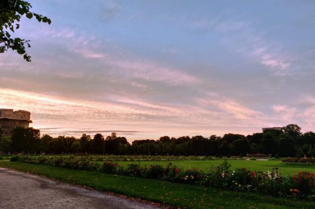 Blick in den Augarten mit Flakturm im Spätsommer bei Sonnenuntergang