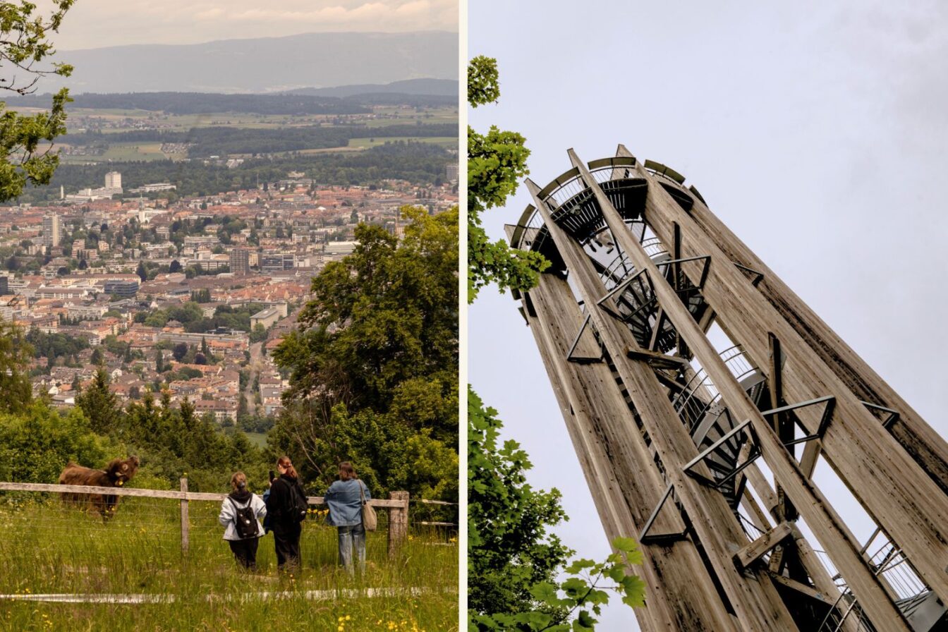 Weitblick vom Gurten, dem Hausberg von Bern, über die Dächer der Stadt bis ins Berner Mittelland – im Vordergrund ein Weidezaun mit Besuchenden und einer Kuh auf der Wiese. Daneben der moderne Holzaussichtsturm auf dem Gurten, der einen 360-Grad-Panoramablick auf Bern, die Alpen und das Umland bietet. Der Gurten ist ein beliebtes Ausflugsziel für Familien, Wandernde und Picknick-Fans – erreichbar mit der Gurtenbahn