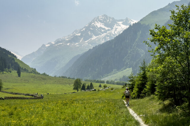 Wanderweg auf einer Almwiese mit schneebedecktem Berg im Hintergrund