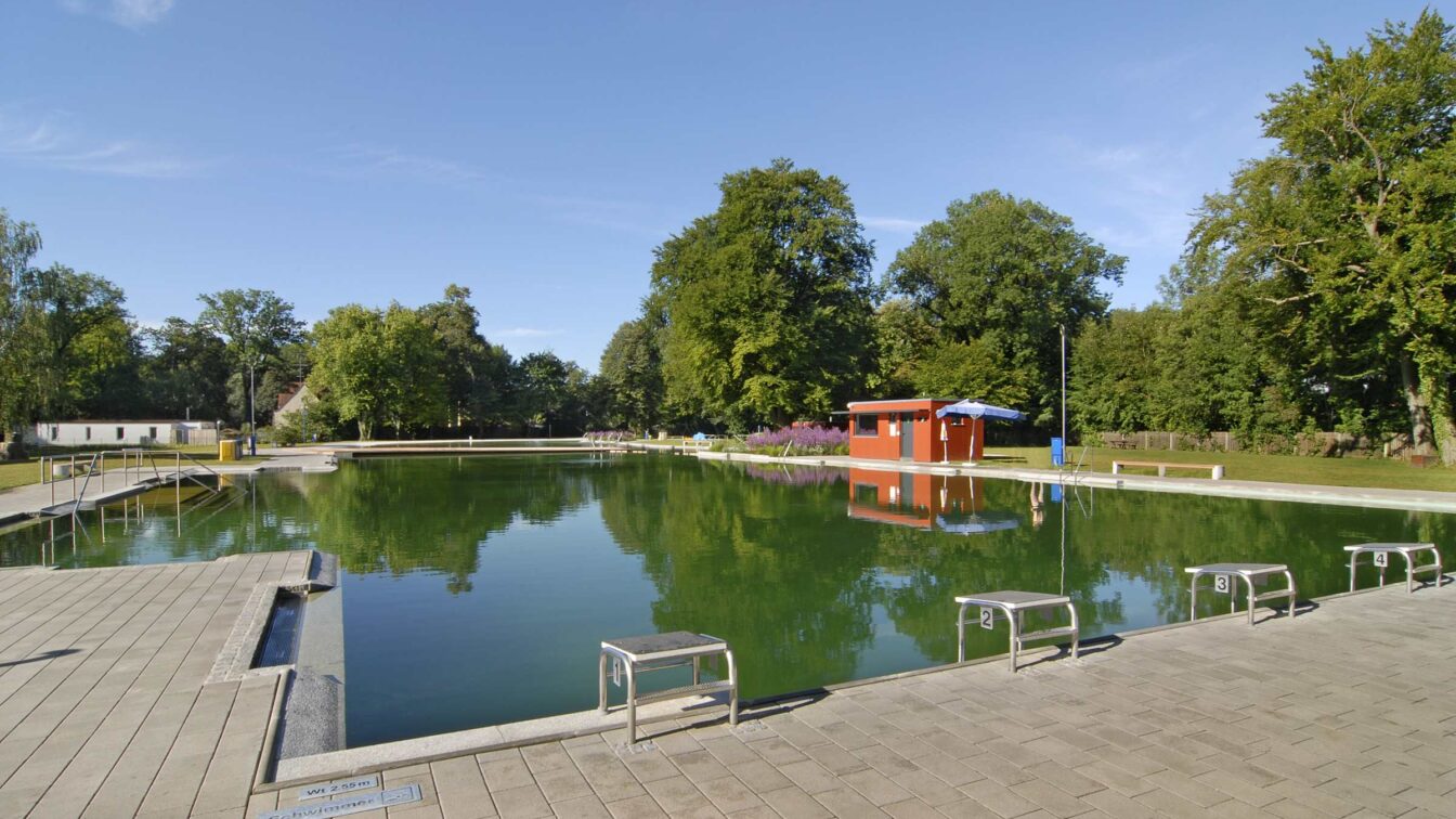 Ein großes Schwimmbeecken, umgeben von grünen Bäumen in einem Freibad.