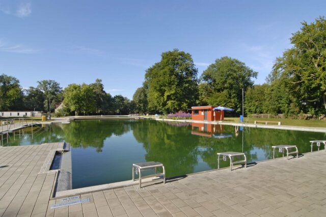 Ein großes Schwimmbeecken, umgeben von grünen Bäumen in einem Freibad.