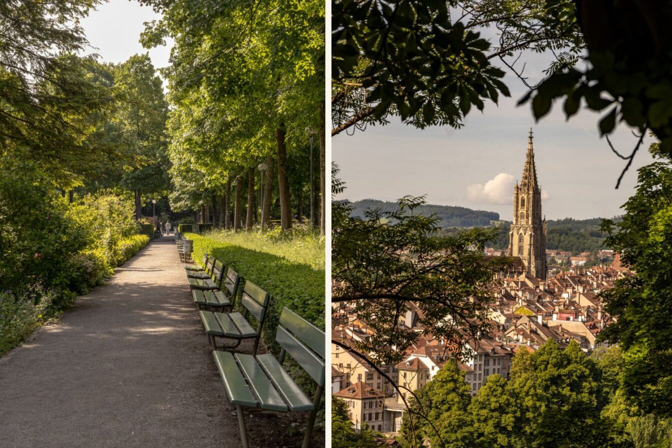 Grüner Spazierweg mit Sitzbänken im Rosengarten Bern, einem der schönsten Aussichtspunkte der Stadt. Im Hintergrund das imposante Berner Münster – die größte Kirche der Schweiz – eingerahmt von Altstadtdächern und Natur. Der Rosengarten ist ein beliebter Ort für Picknicks, Sonnenuntergänge und romantische Ausblicke über Bern