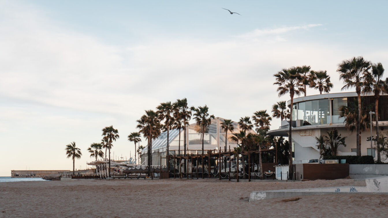Strandpromenade in Valencia, Spanien mit Palmen, moderner Architektur und Blick auf das Mittelmeer – ein ideales Reiseziel in Europa im August für Sonnenurlaub, Kultur und kulinarische Highlights.