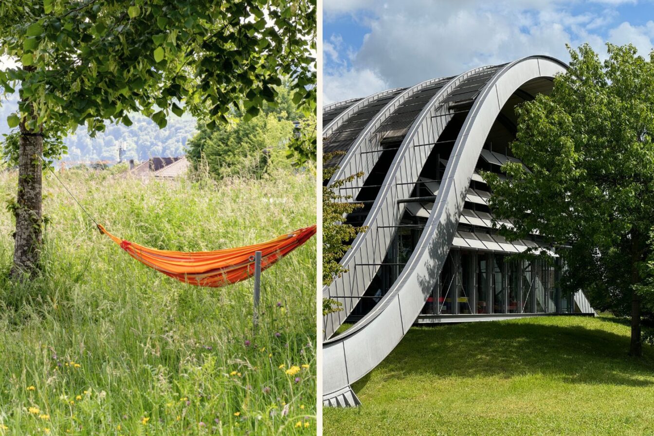 Grüne Wiese mit einer orangefarbenen Hängematte unter schattigen Bäumen – entspannter Rückzugsort am Stadtrand von Bern. Direkt daneben das ikonische Zentrum Paul Klee mit seiner wellenförmigen Architektur von Renzo Piano – eines der bedeutendsten Kunstmuseen der Schweiz mit Fokus auf das Werk von Paul Klee. Die Mischung aus Natur, Kunst und Architektur macht das Areal zu einem besonderen Ausflugsziel für Kultur- und Designliebhaber:innen.