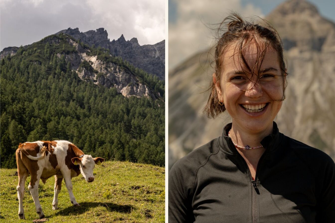 Bild 2 (links): Ein junges braun-weißes Kalb steht auf einer grünen Almwiese, dahinter ein dichter Wald und steile Felsen. Bild 2 (rechts): Eine lachende Person mit braunen Haaren steht vor einem unscharfen Berg im Hintergrund, der Wind weht leicht ins Gesicht.
