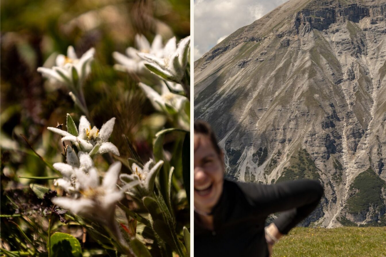 Zweigeteiltes Bild einer Alpenwanderung: Links Nahaufnahme von blühendem Edelweiß auf einer Almwiese, rechts eine lachende Person mit Wanderkleidung vor steilem, felsigem Bergmassiv bei Sonnenschein.