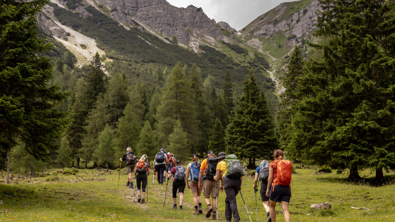 Eine Gruppe von Wandernden mit Rucksäcken und Stöcken geht durch eine grüne Almwiese in einem Nadelwald, dahinter erheben sich felsige Berge unter einem bewölkten Himmel.