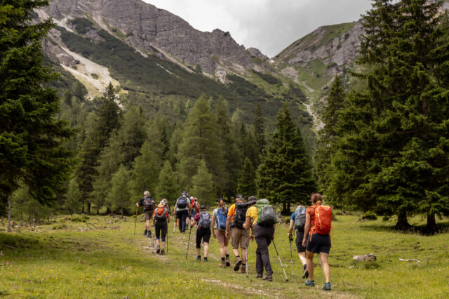 Eine Gruppe von Wandernden mit Rucksäcken und Stöcken geht durch eine grüne Almwiese in einem Nadelwald, dahinter erheben sich felsige Berge unter einem bewölkten Himmel.