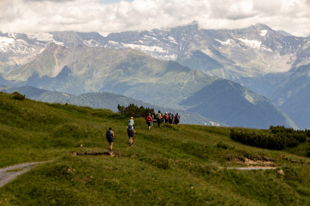 Wandergruppe beim Aufstieg über saftig grüne Almwiesen in Richtung Blaser – eine beliebte Wanderung im Stubaital.