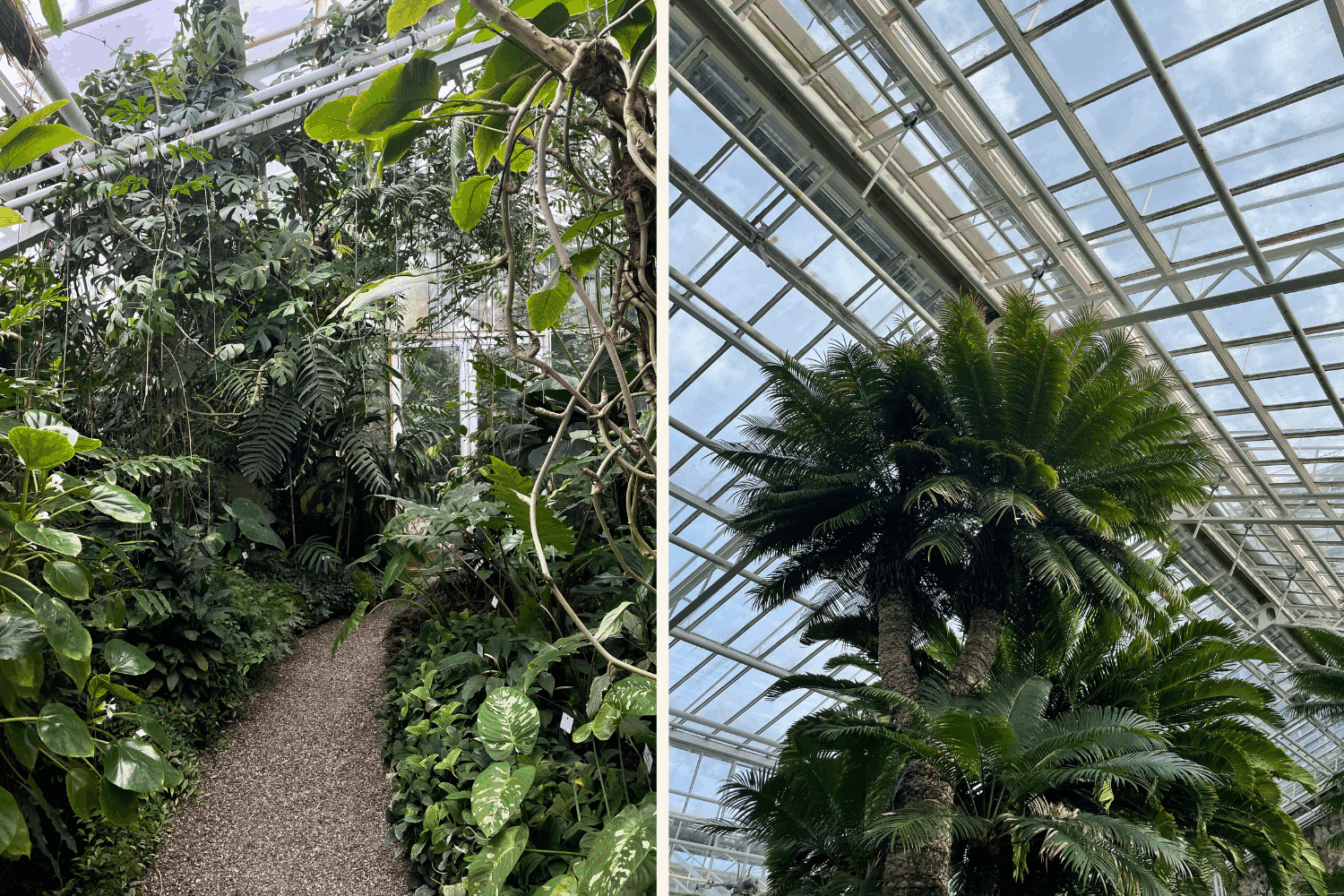 Die grünen Gewächshäuser vom Botanischen Garten in München.