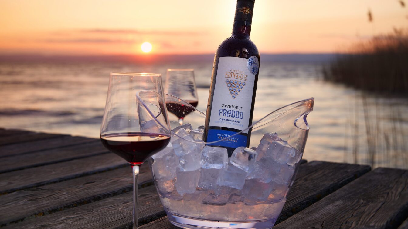 eine gekühlte Flasche Rotwein mit zwei Gläsern am Ufer des Neusiedlersees