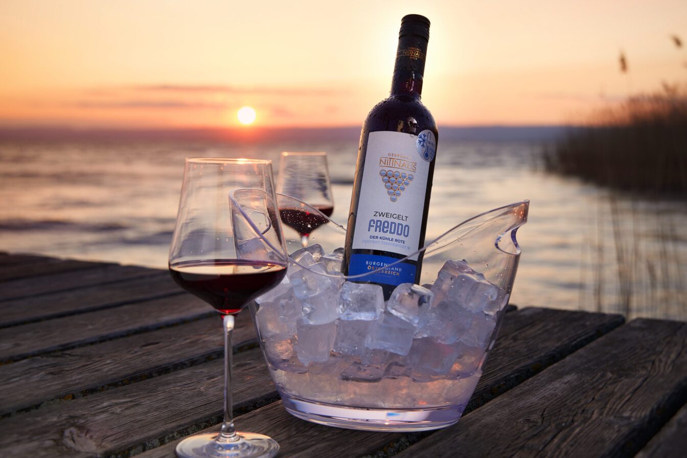 eine gekühlte Flasche Rotwein mit zwei Gläsern am Ufer des Neusiedlersees