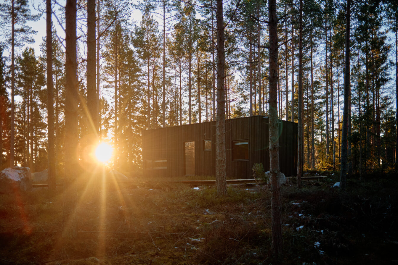 Minimalistische schwarze Holzhütte im Sonnenuntergang mitten im schwedischen Wald – nachhaltiger Natururlaub in Skandinavien.
