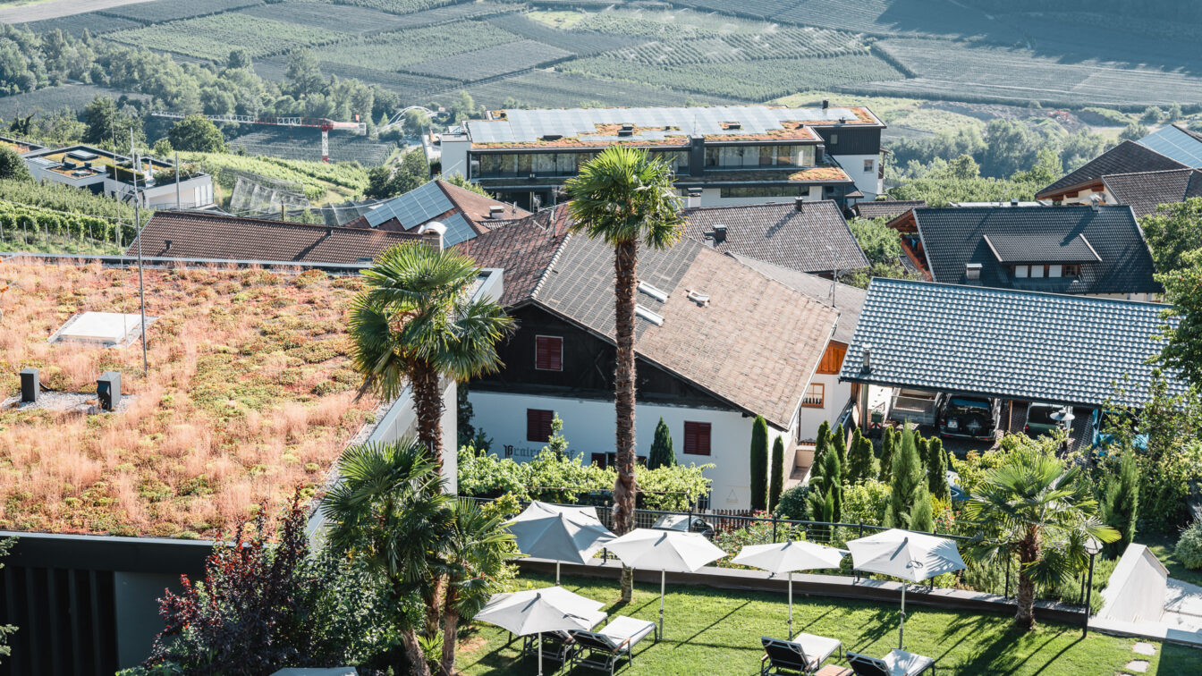 Ein Garten mit Liegen und Palmen, im Hintergrund der Blick ins Tal von Meran.