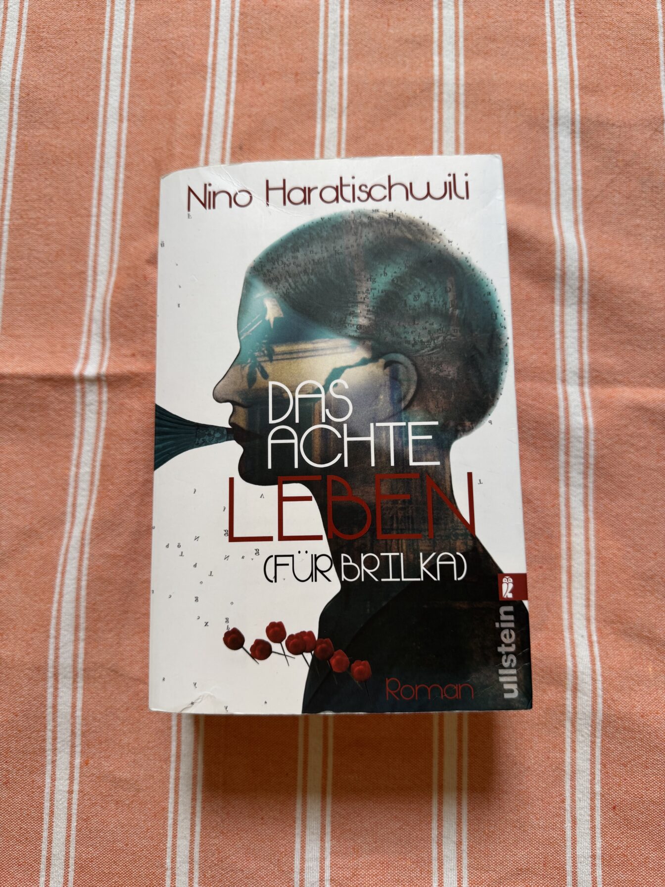 Buchtipp Das achte Leben (Für Brilka) von Nino Haratischwili