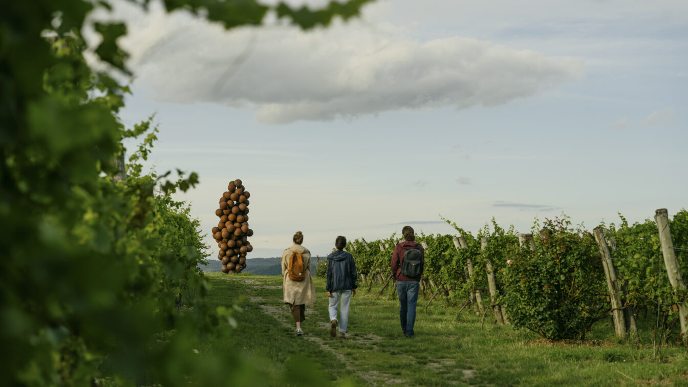 Drei Personen spazieren bei Tageslicht durch einen grünen Weingarten im Kamptal, flankiert von Rebzeilen. In der Ferne ist eine auffällige Kunstinstallation aus Tonkugeln zu sehen, die in die Höhe ragt. Der Himmel ist leicht bewölkt, die Atmosphäre ruhig und naturnah – typisch für das Weinfest in der malerischen Region Niederösterreich