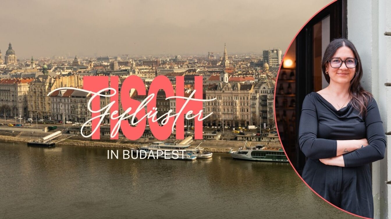 Blick über Budapest mit dem Portrait einer jungen Frau mit Brille.