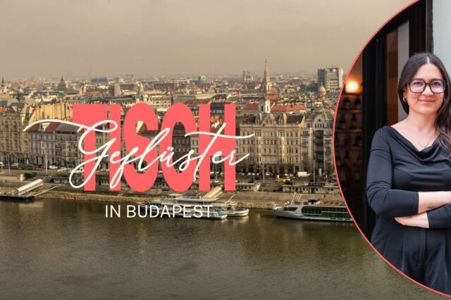 Blick über Budapest mit dem Portrait einer jungen Frau mit Brille.