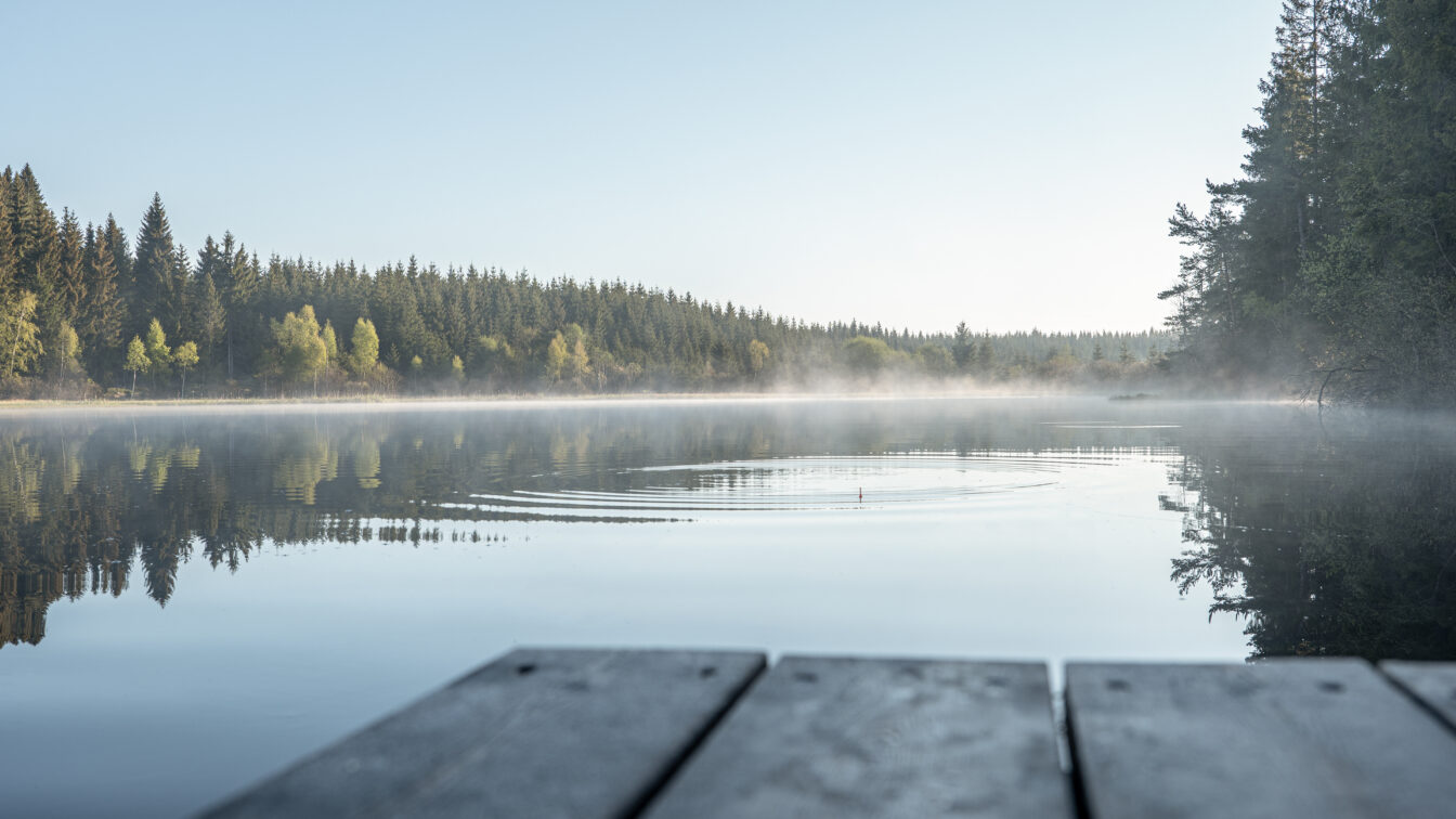 Blick auf den Rubnerteich am Morgen