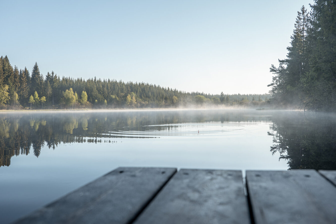 Blick auf den Rubnerteich am Morgen