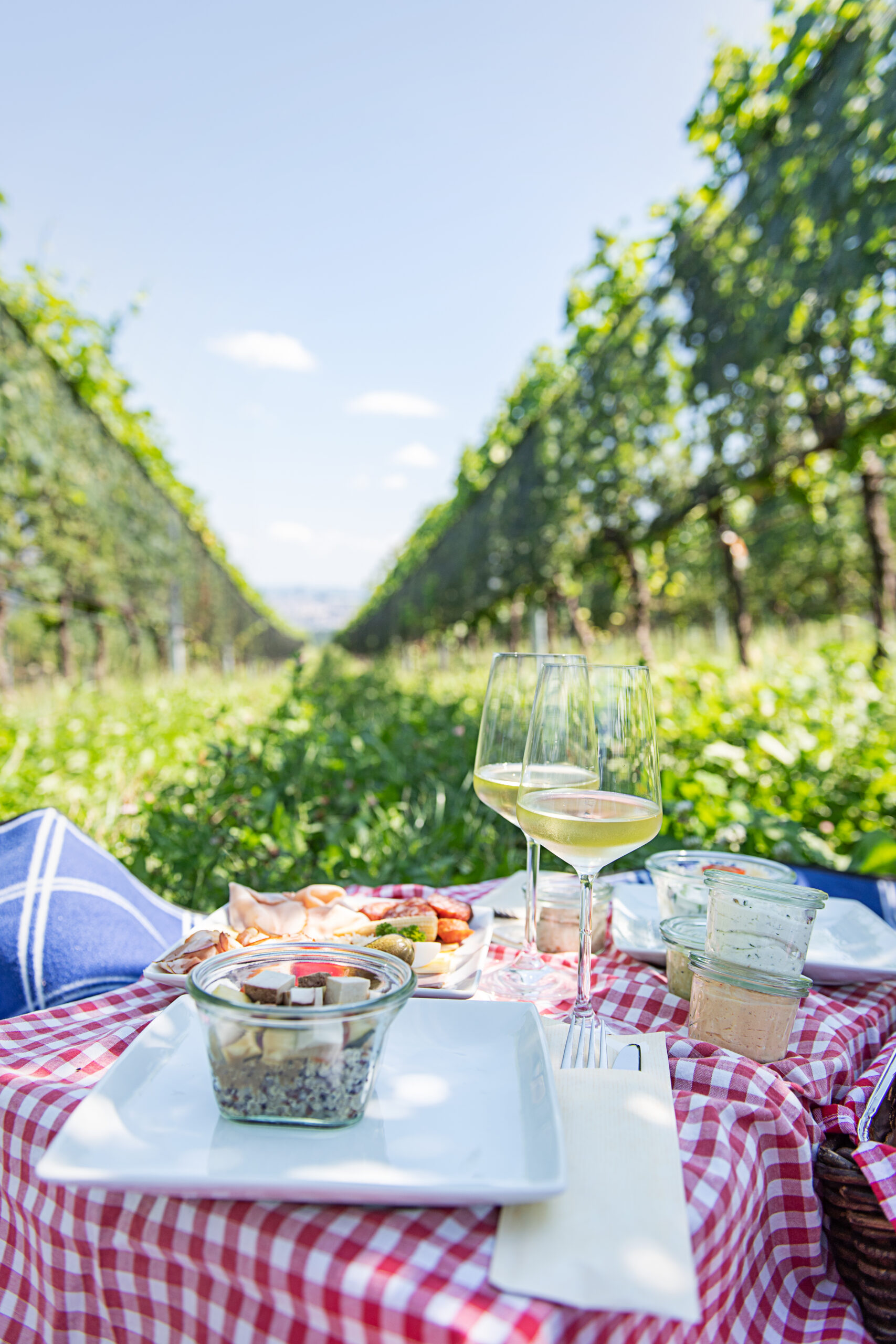 Eine Brettljause im Weingarten (c) ÖWM | Carletto Photography