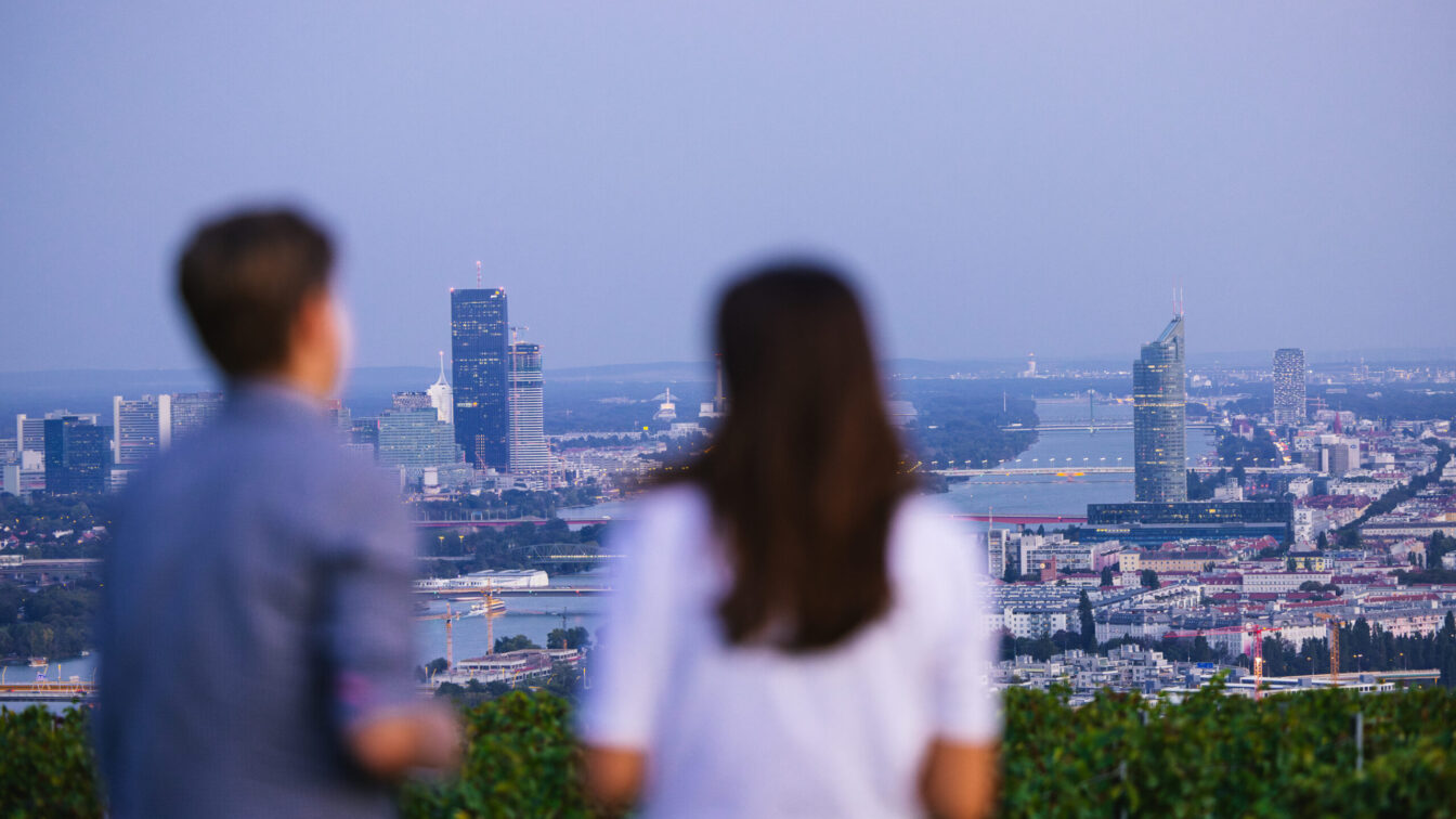 Menschen blicken vom Nussberg aus über Wien (c) ÖWM | Manu Grafenauer