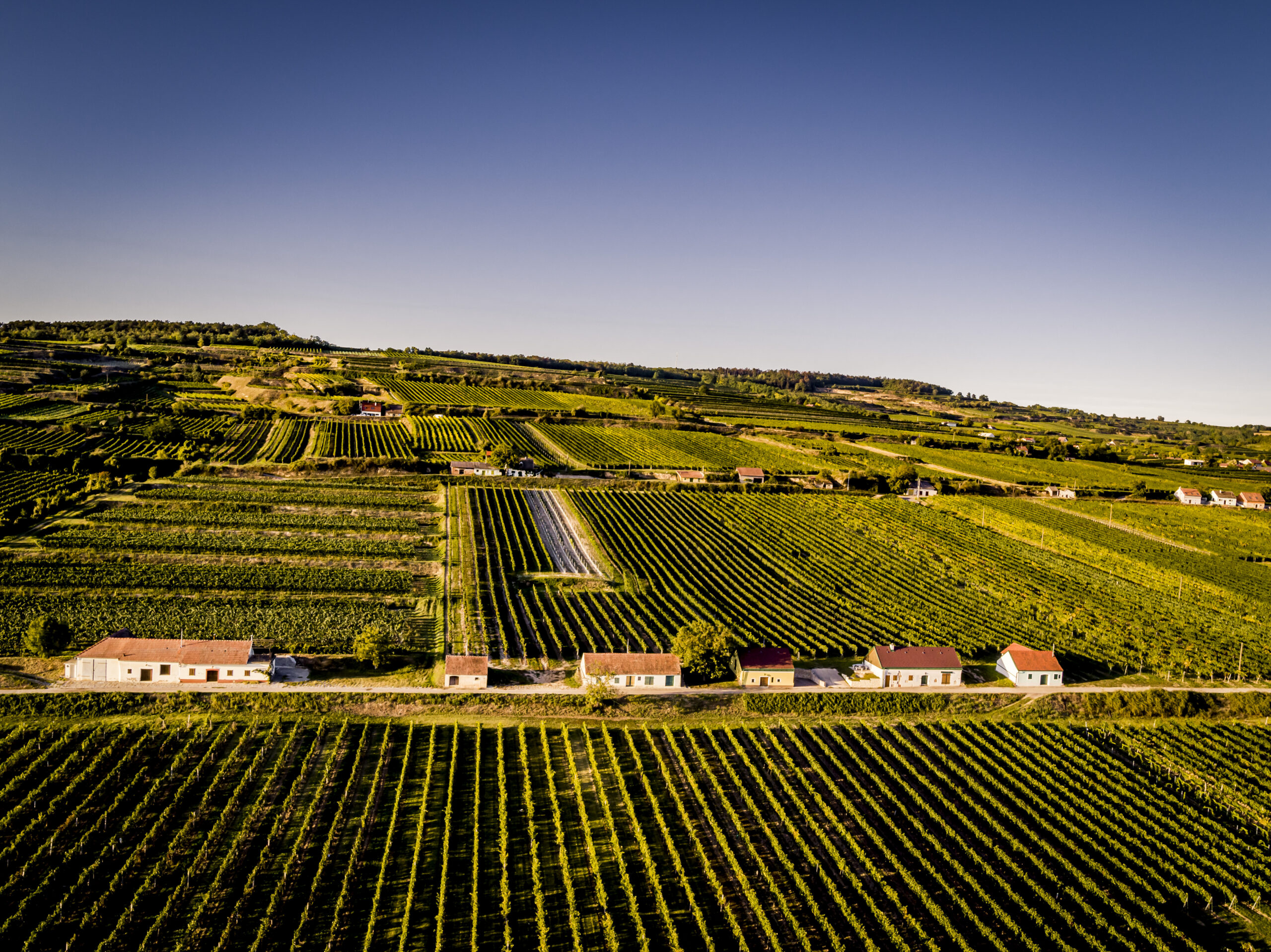 Kellergasse in Feuersbrunn (c) ÖWM | Robert Herbst