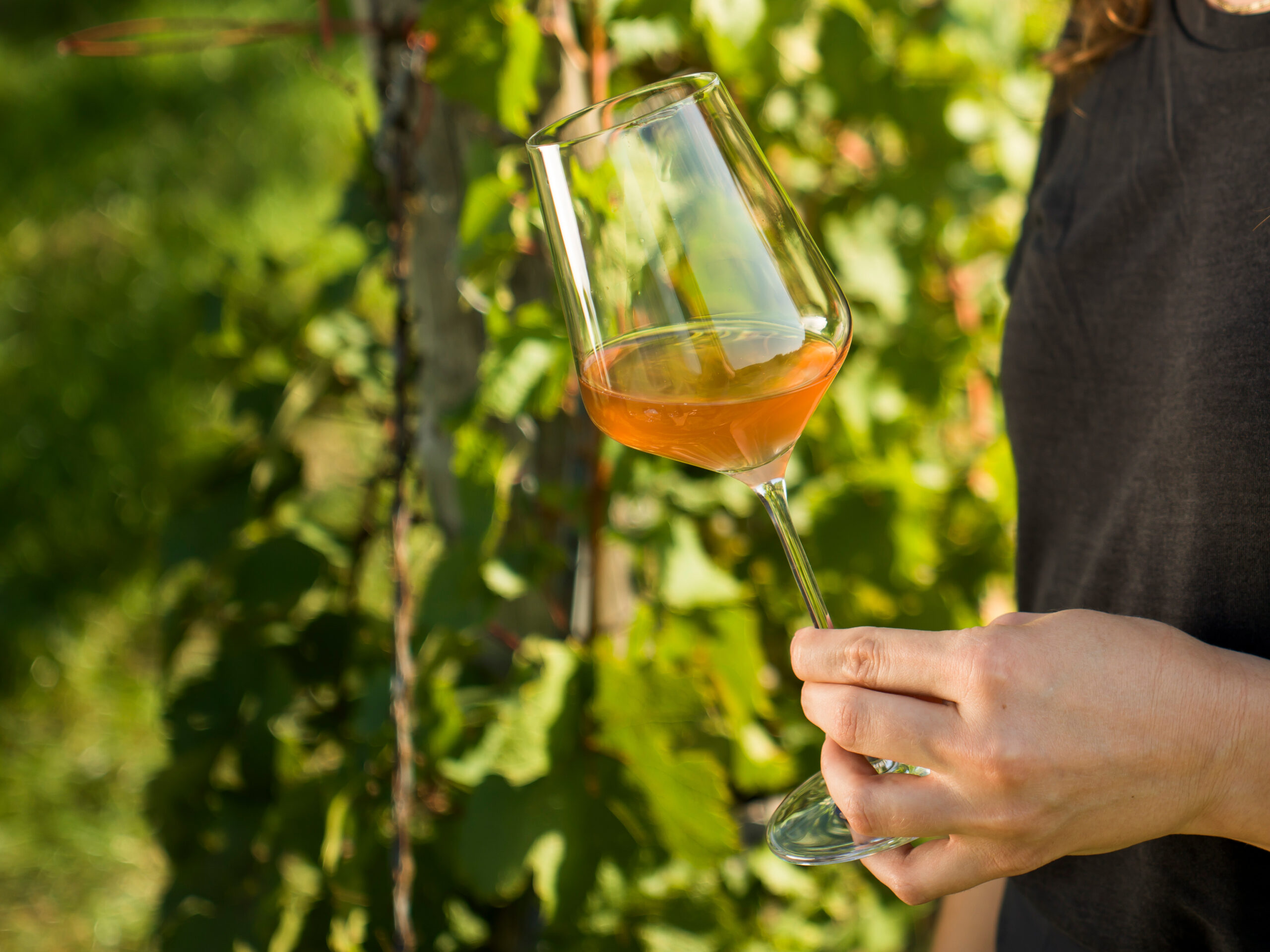 Ein Glas Orange Wine im Freien (c) ÖWM | www.pov.at