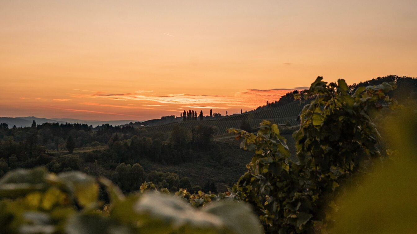 Südsteiermark, Österreich