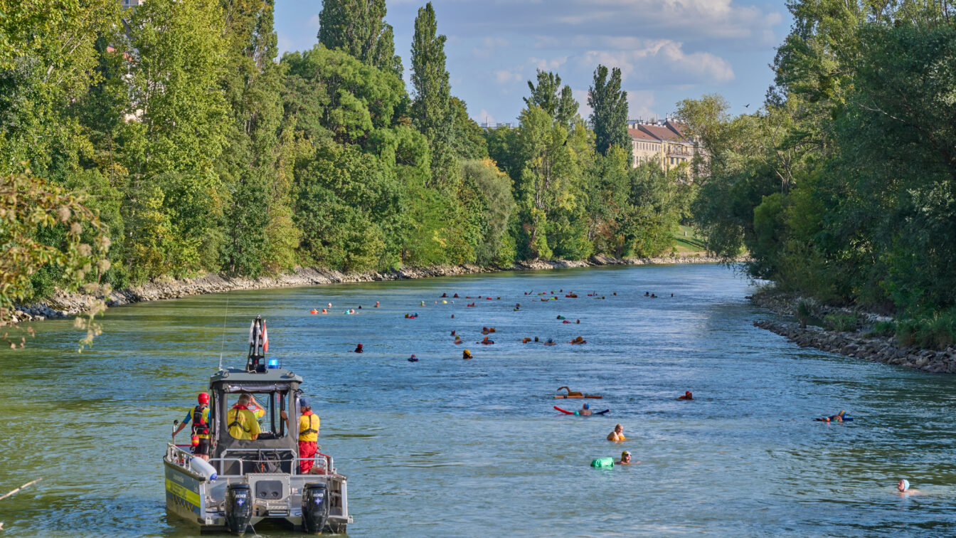 Schwimmparade: Menschen schwimmen im Donaukanal