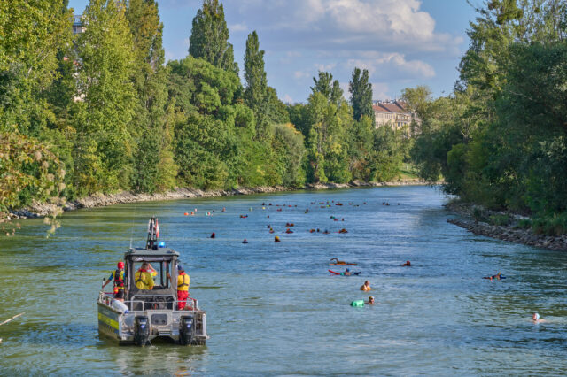 Schwimmparade: Menschen schwimmen im Donaukanal