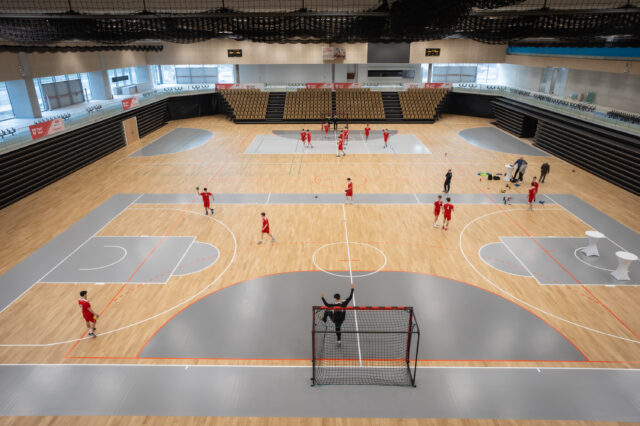 Ein Testmatch in der Sport Arena Wien.