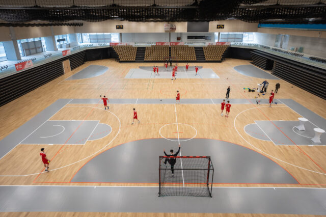 Ein Testmatch in der Sport Arena Wien.