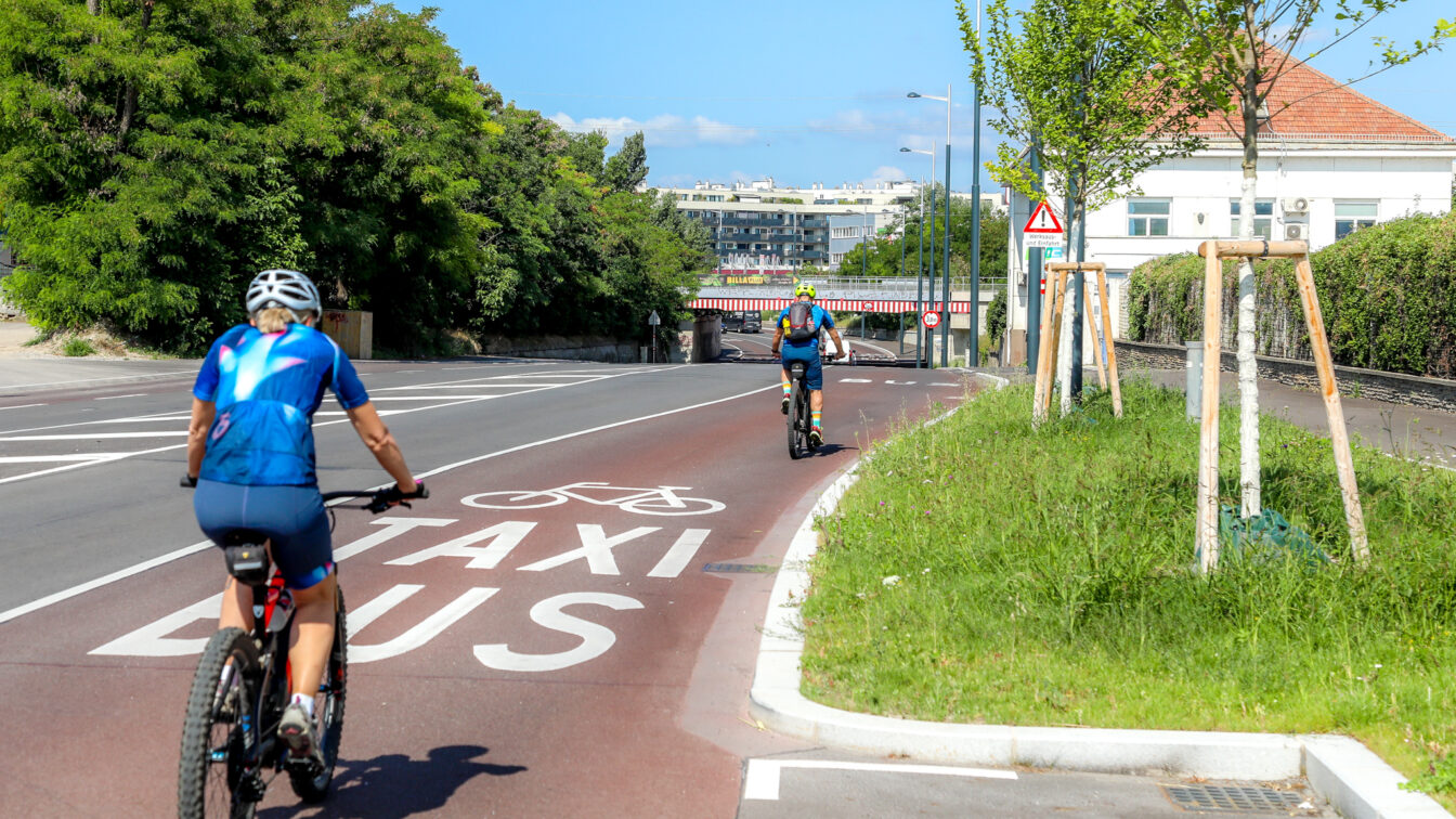 Radfahrer*innen auf der Breitenleer Straße