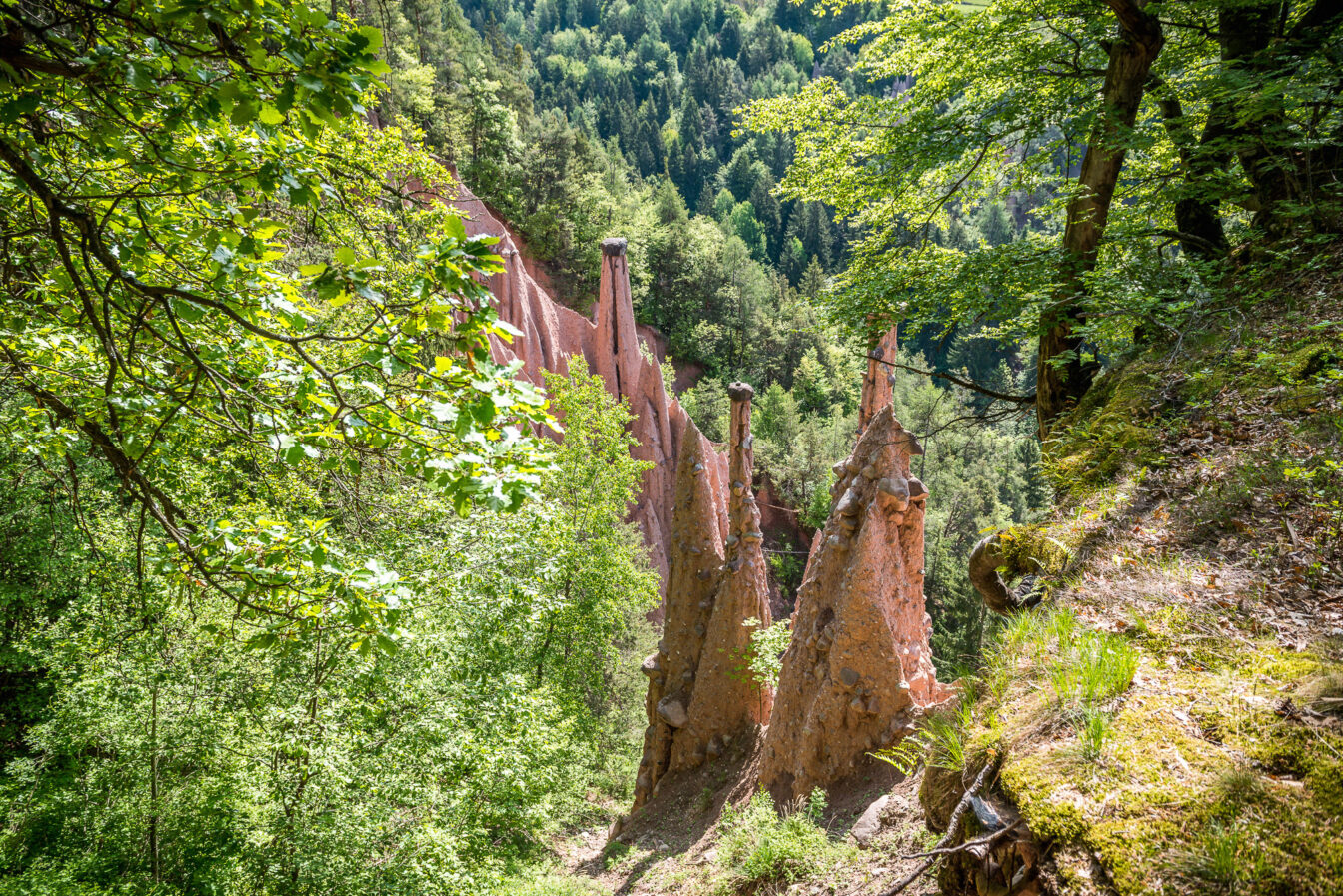 Eine grüne Landschaft, aus der Erdpyramiden rausstechen.