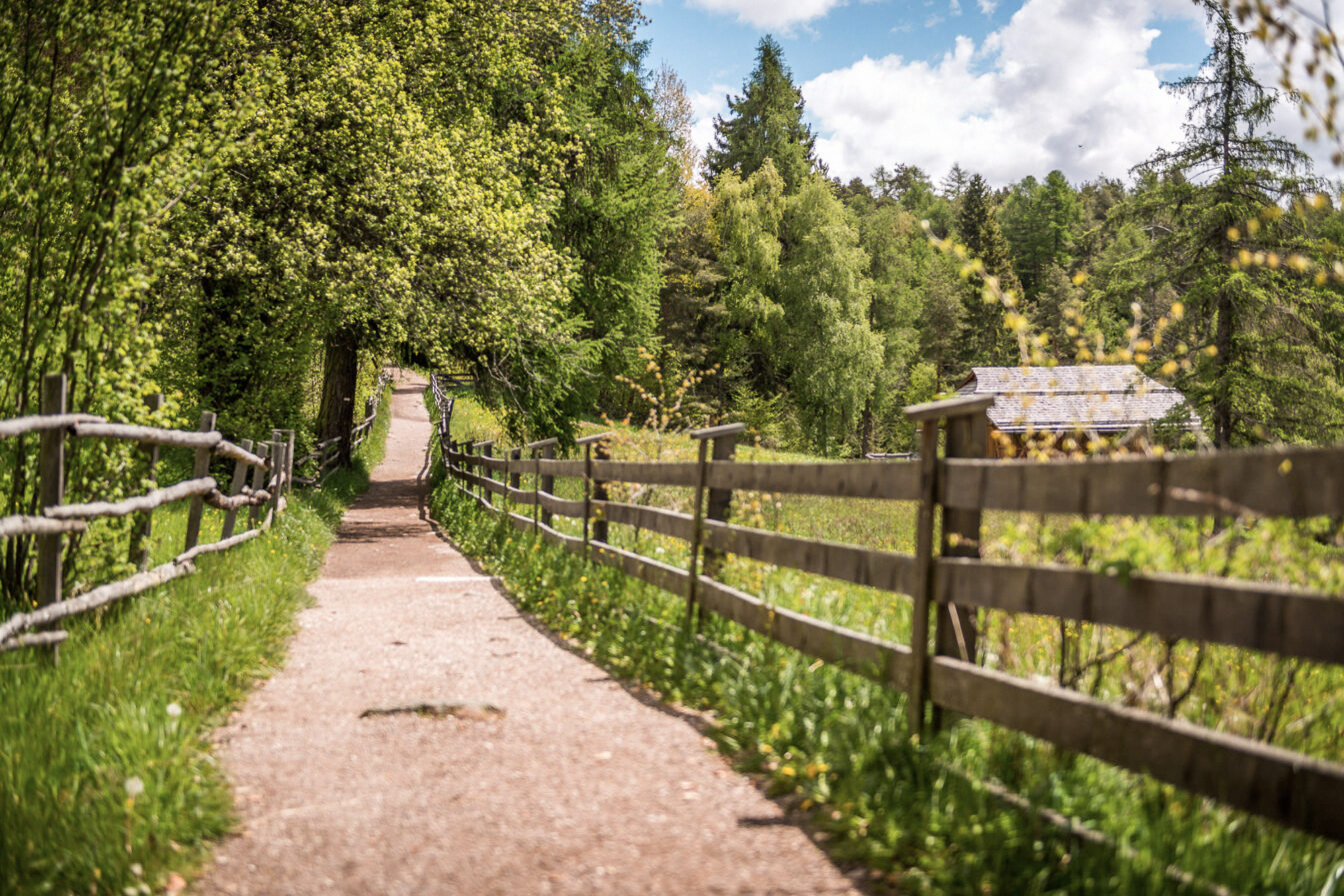 Ein Spazierweg umgeben von Natur und einer Koppel in Südtirol