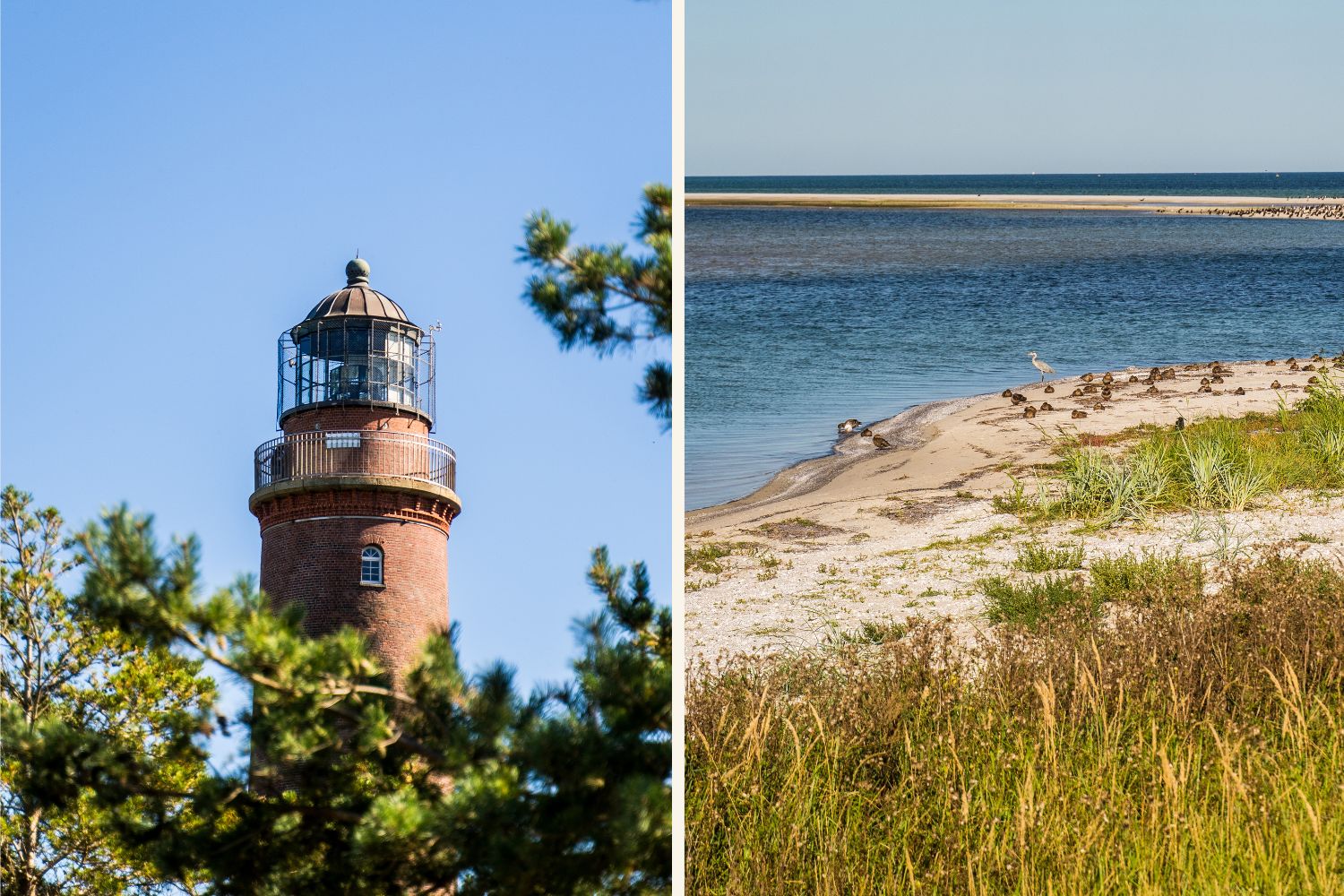 Leuchtturm und Strand in Darß