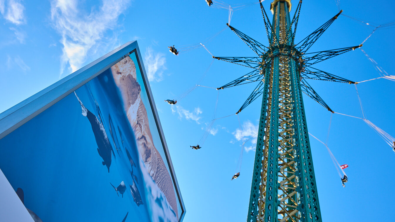 Eine von unten fotografierte Tafel mit einem Foto neben einem hohen kettenkarrussell