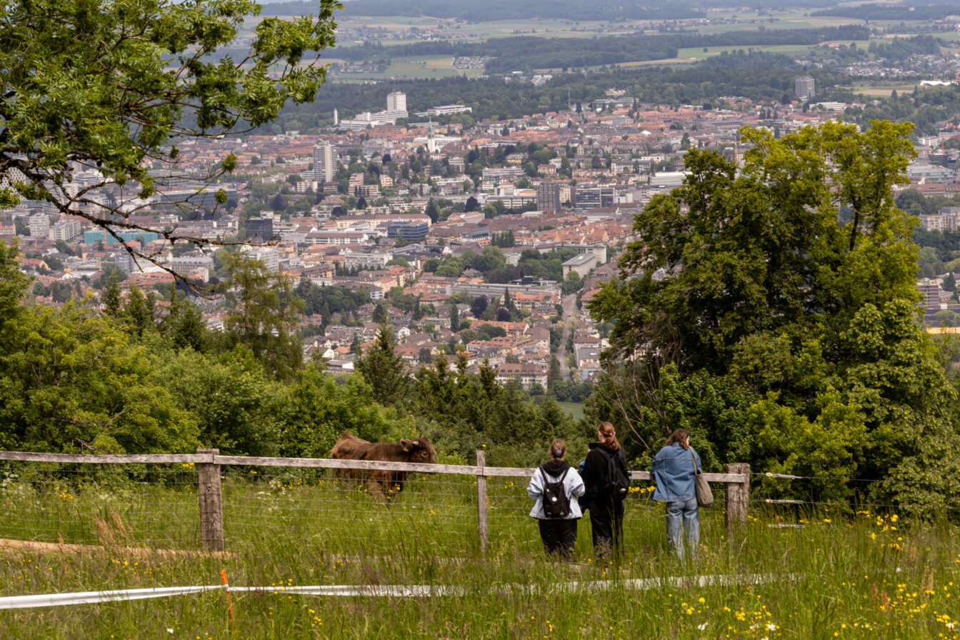 Drei Menschen und eine Kuh auf dem Gurten bei Bern