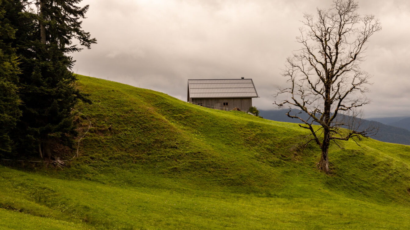 Holzhaus mit Satteldach steht auf einer grünen, hügeligen Wiese im Bregenzerwald. Links ragen Tannen auf, rechts ein kahler, knorriger Baum. Der Himmel ist wolkenverhangen, im Hintergrund sind sanfte Bergketten zu erkennen.
